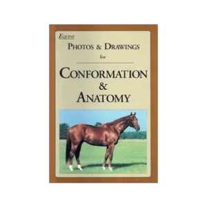 Conformation and Anatomy Book