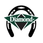 Diamond Forge Logo