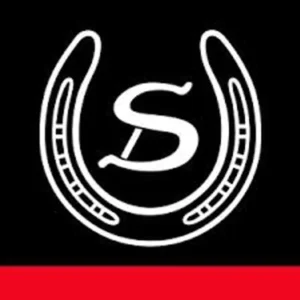 Double-S Logo