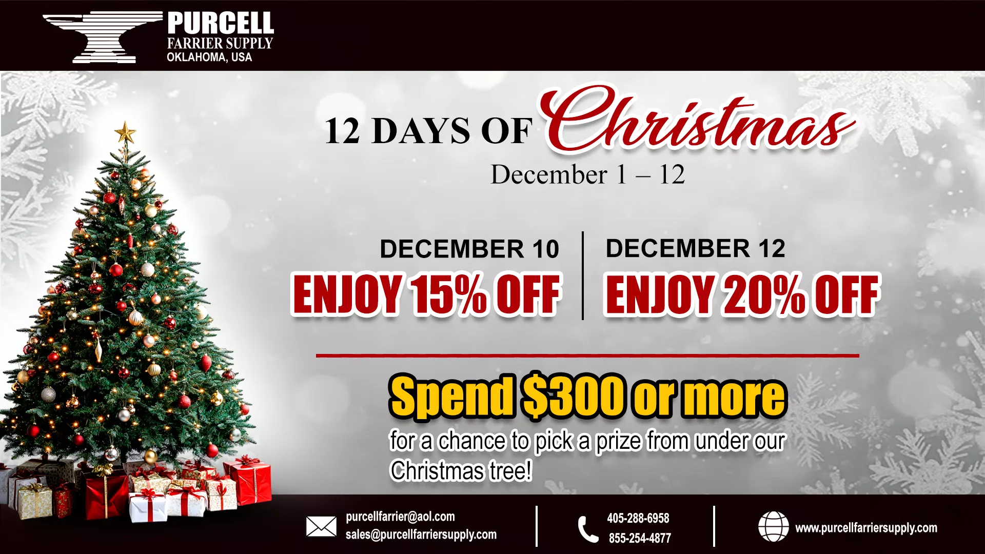 PFS Christmas Banner